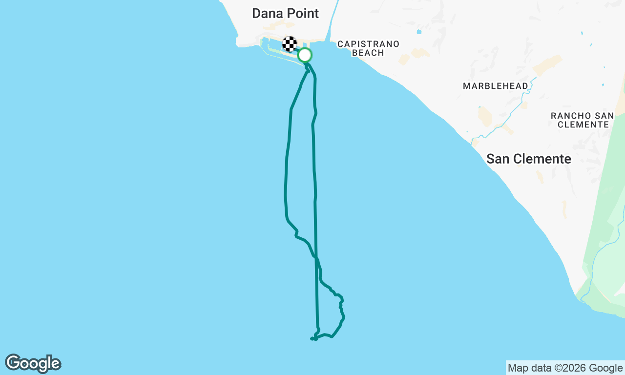 Dolphin cruise