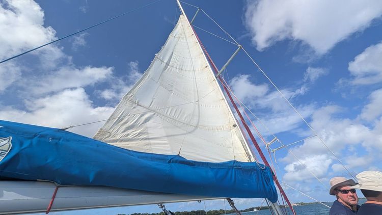 Voyage photo from Close Hauling to the turtles