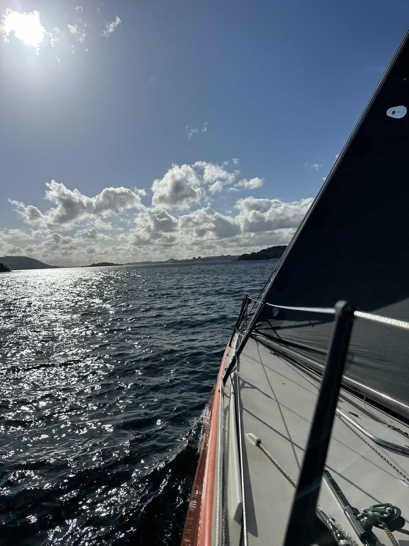 Høstskvulpen 2026_85F1CB45-4163-40E1-96C1-4DD5C4D8BDEA