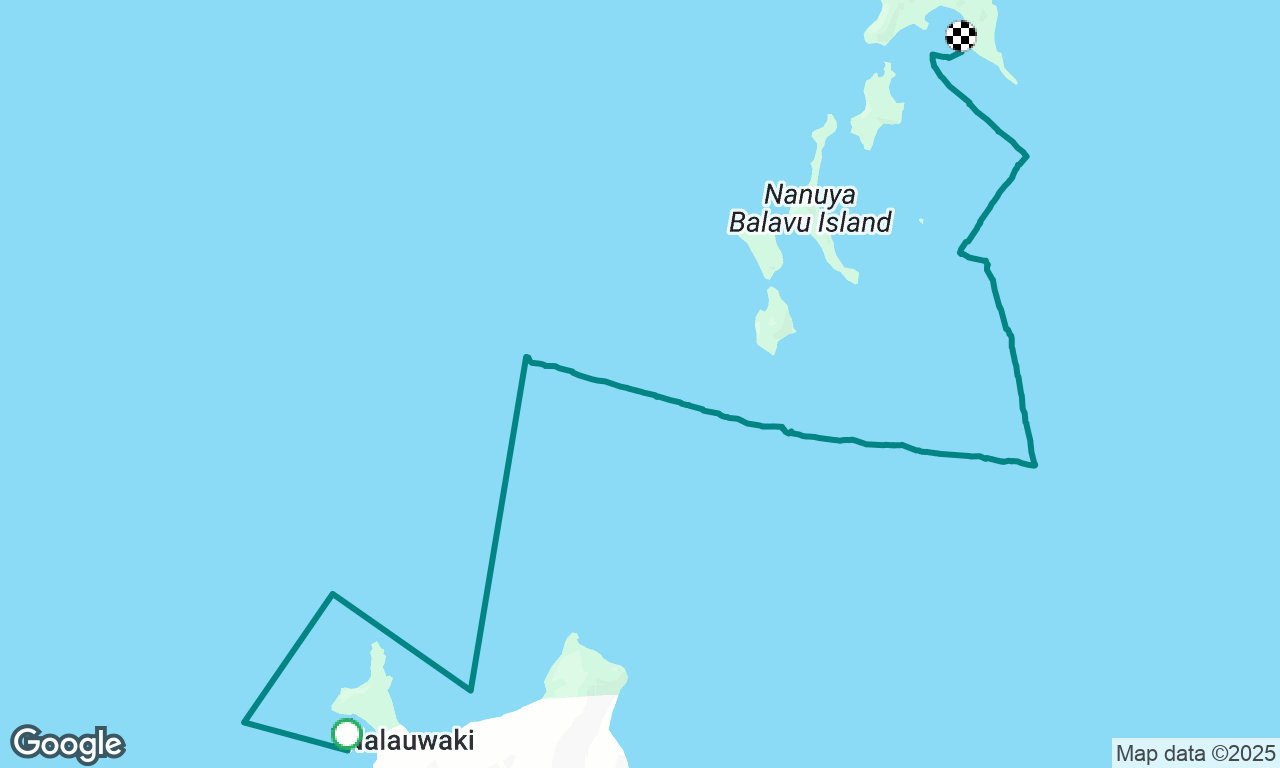 Octopus to Manta ray