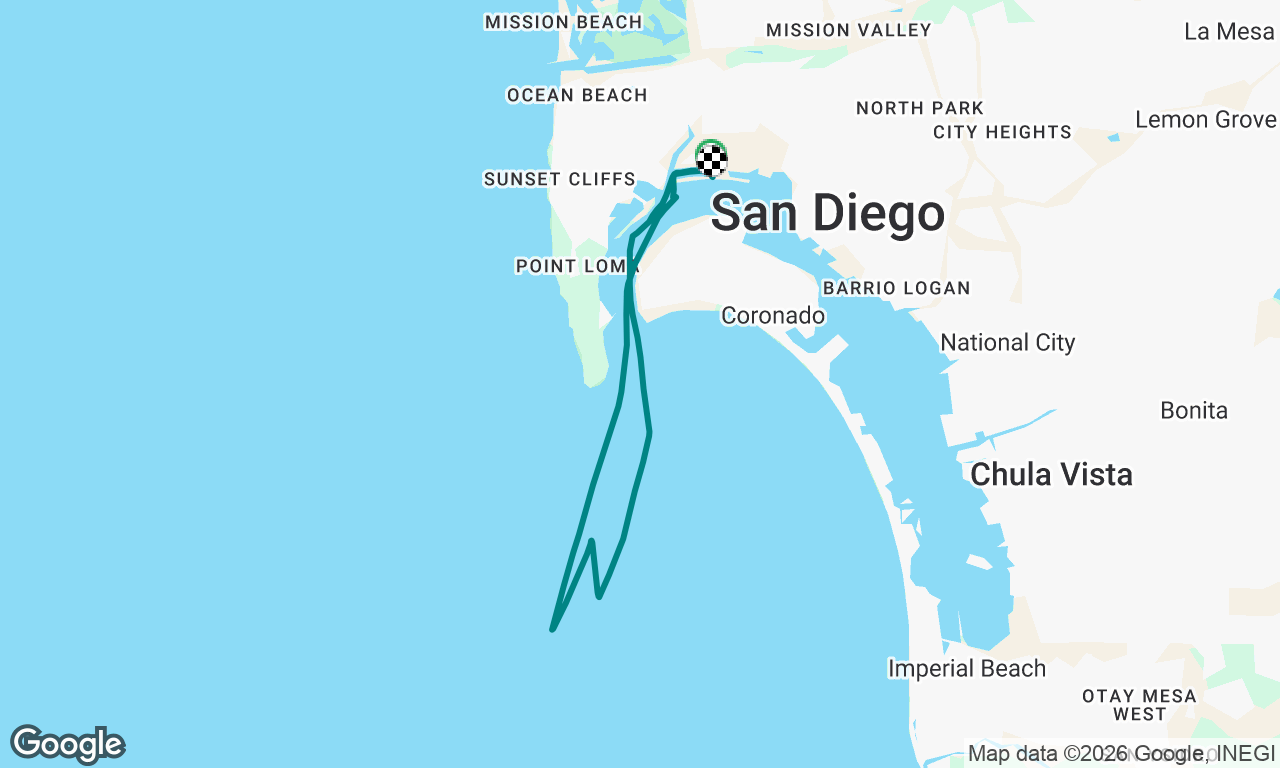 The Great Dolphin Chase