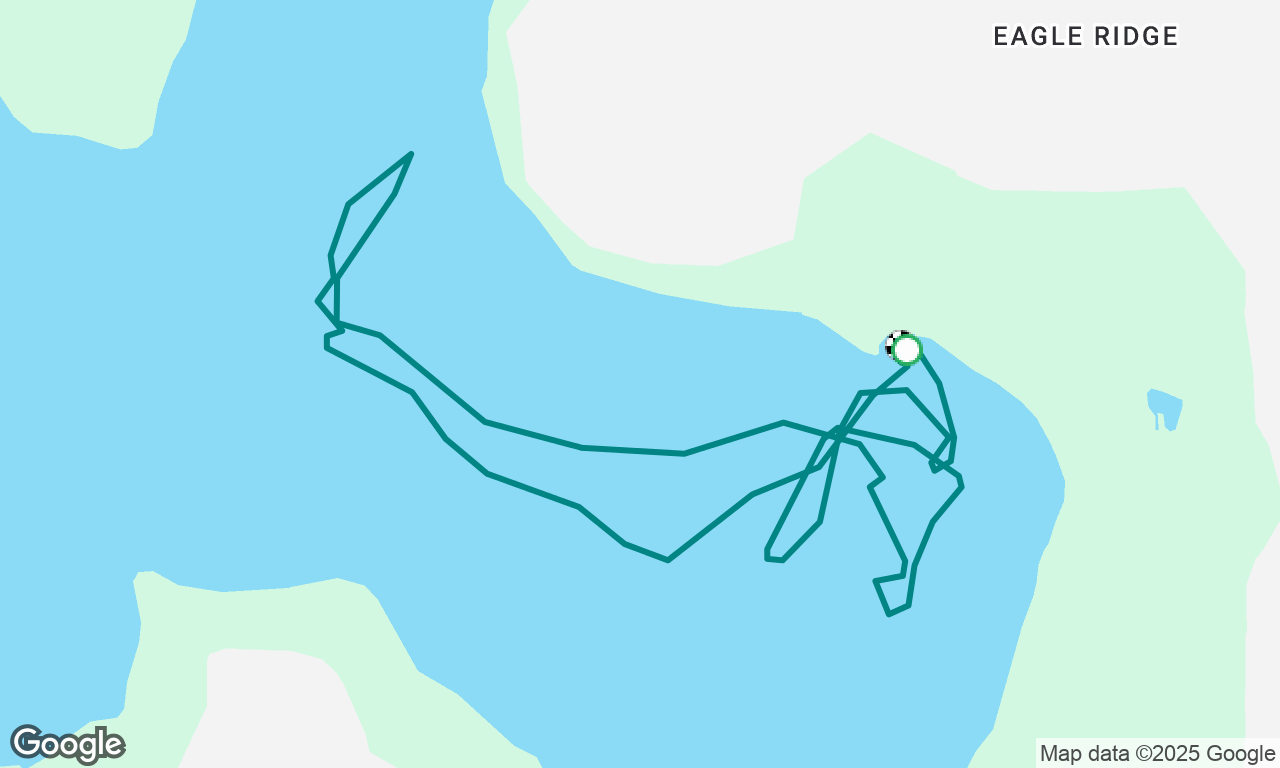 Experience sailing