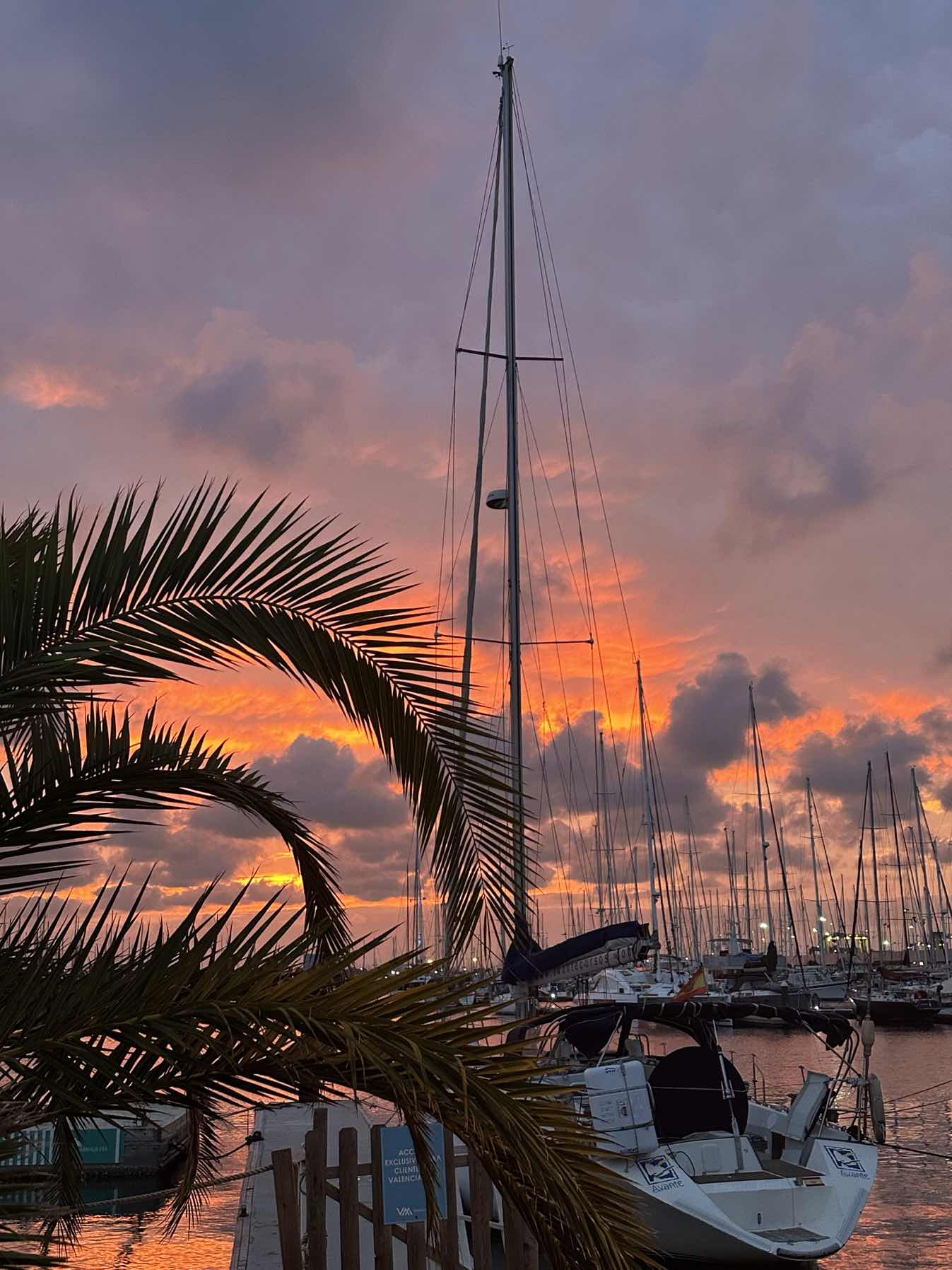 Balearic 1_465209A1-3DBE-4698-AC5B-FE716759BF8D