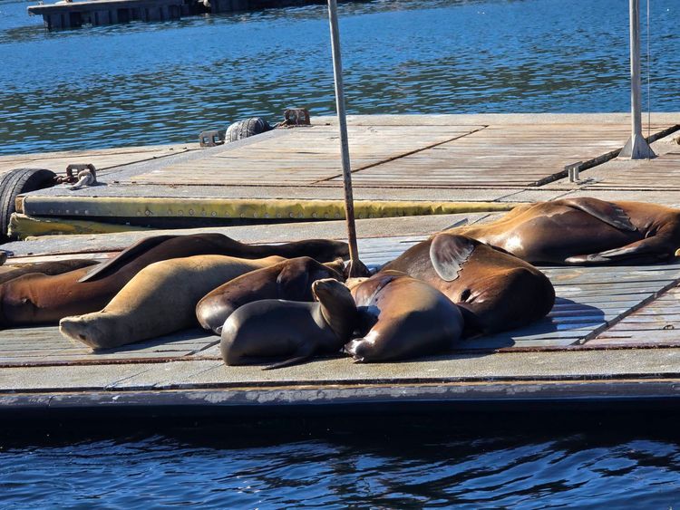 Voyage photo from sp5 with Johnny on 631