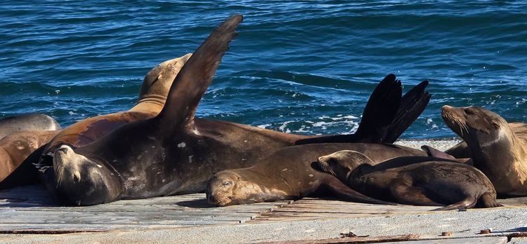 Voyage photo from sp5 with Johnny on 631