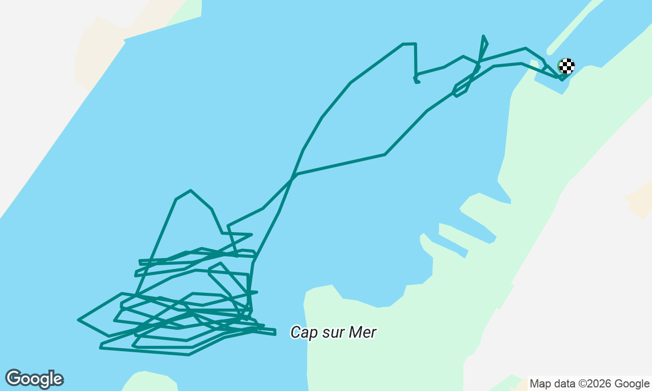 Sortie niveau 1