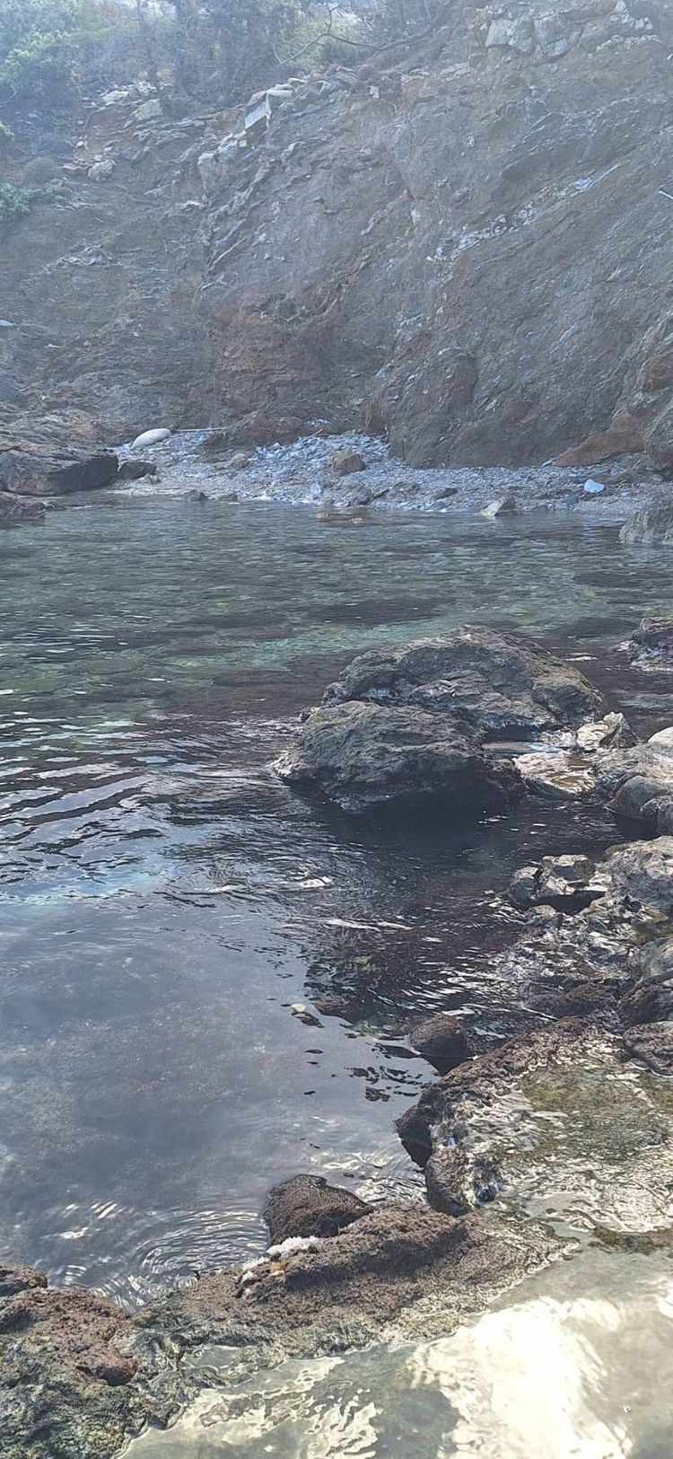 Voyage photo from Radon Hot Springs Day