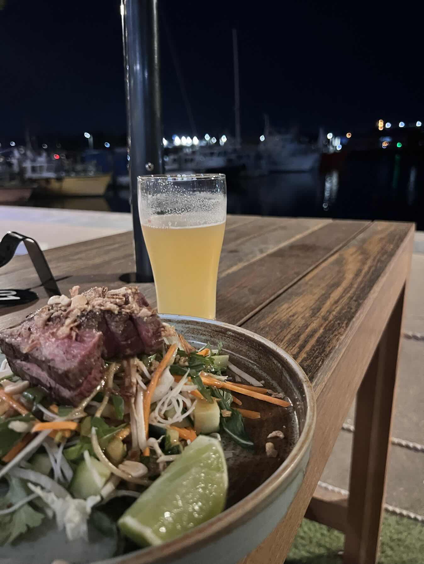 Port Stephens to Newcastle great run.._3B89BB92-40C2-41CF-9555-9DB26C4D96D3
