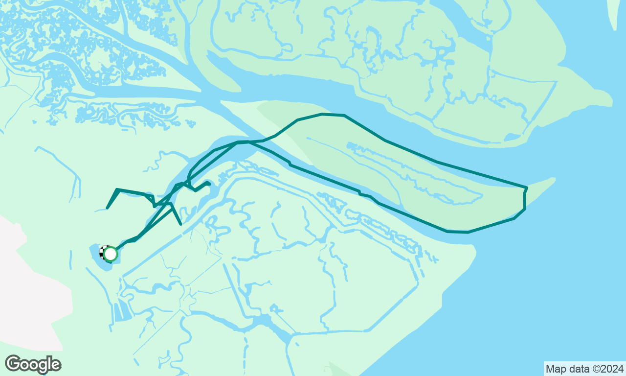 Circumnavigation of Great and Little Cob Islands and exploration of the saltings!