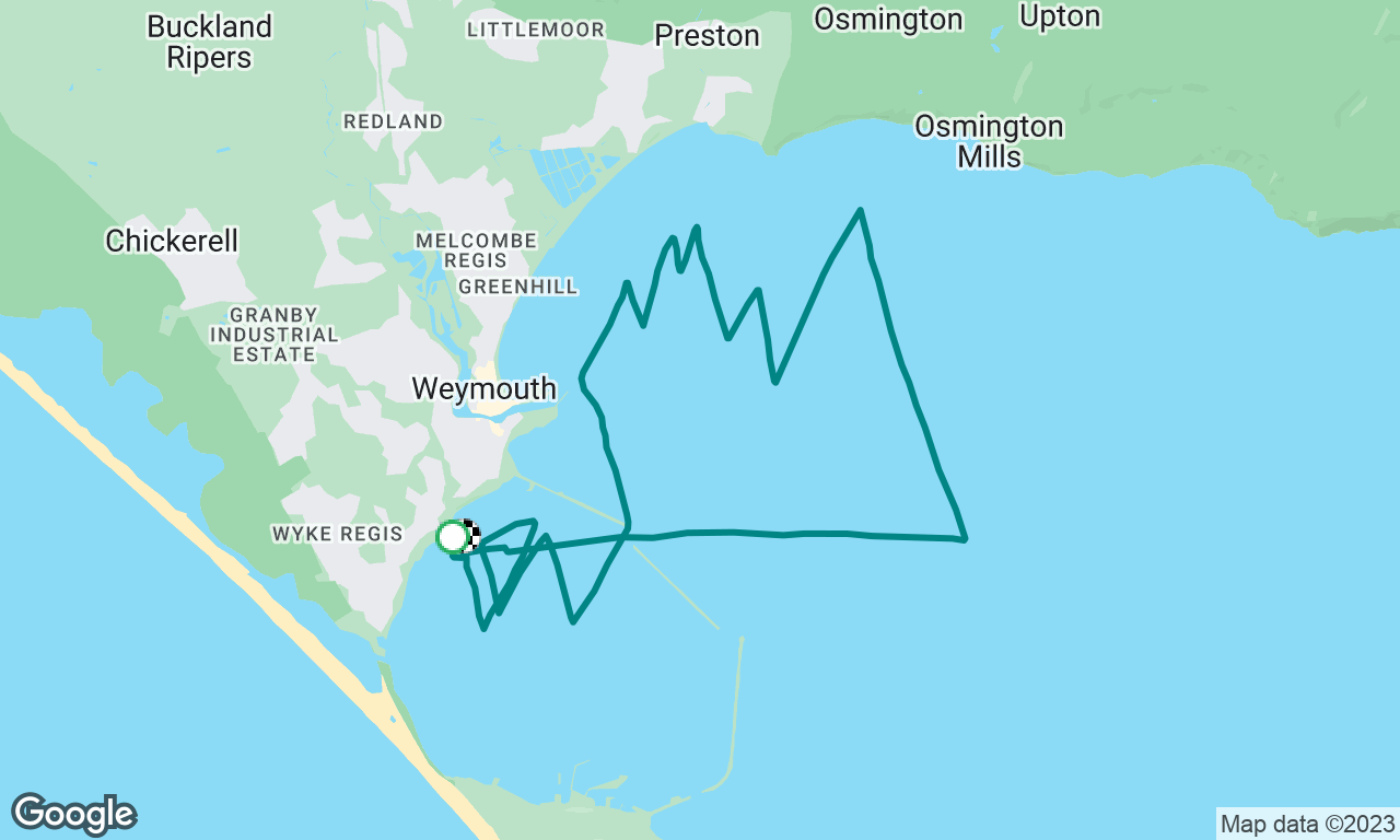 Mackerel chasing 