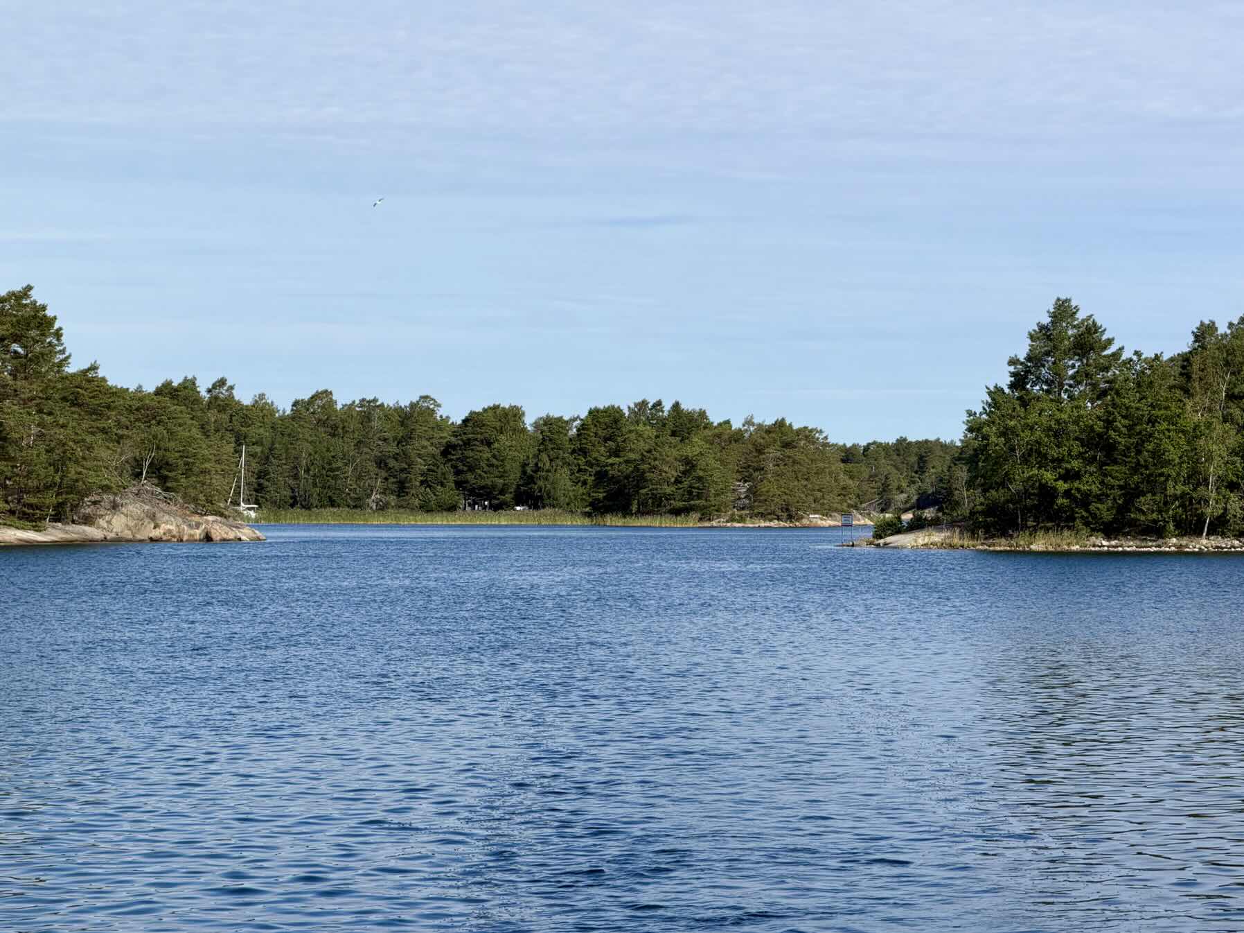 Stockholm Archipelago: to Gällnö_EB97700D-BAF6-4417-BB88-DBB44BEFF8F6