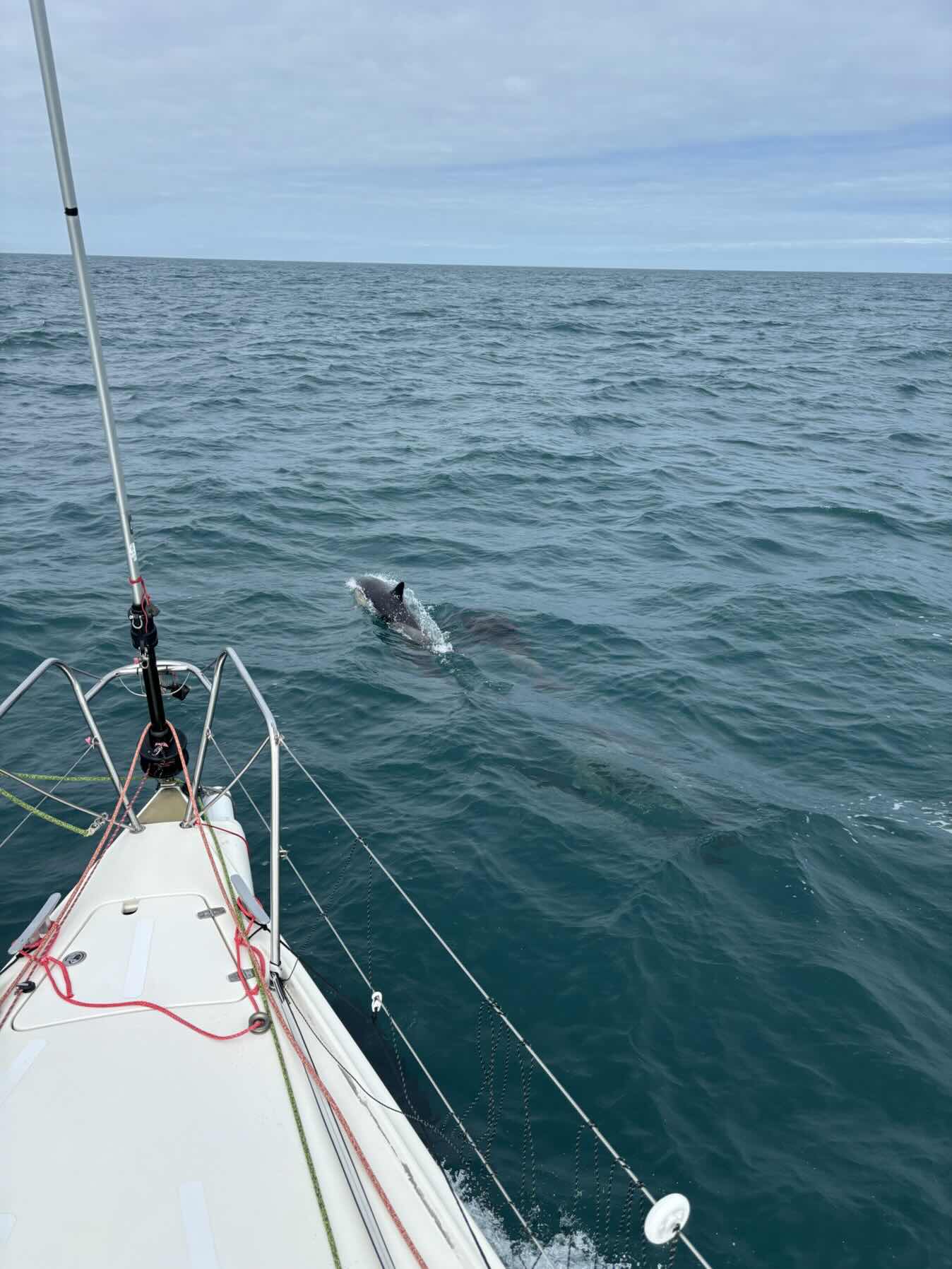 RORC Morgan Cup_E427E31C-4576-463F-90BE-0BF644E6450A