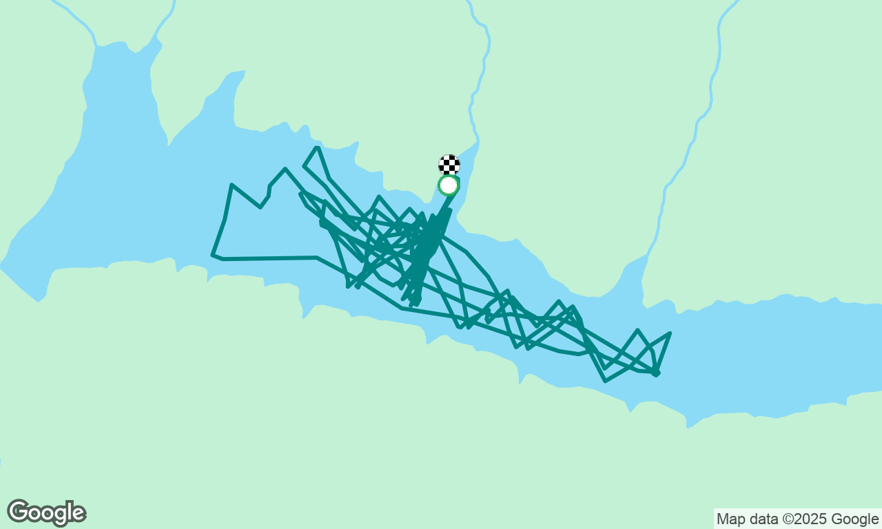 Regatta