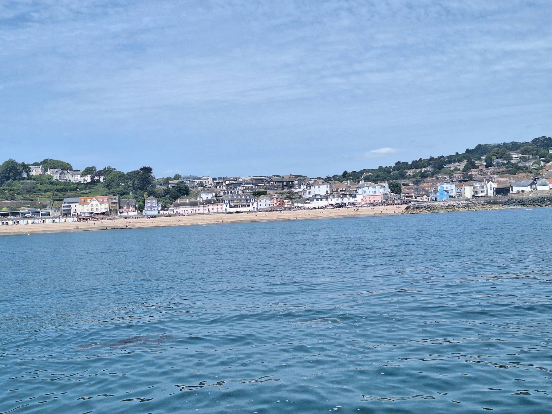 Back from Lyme_B2B40E20-ED86-494A-BEA9-B29AC10B59BB