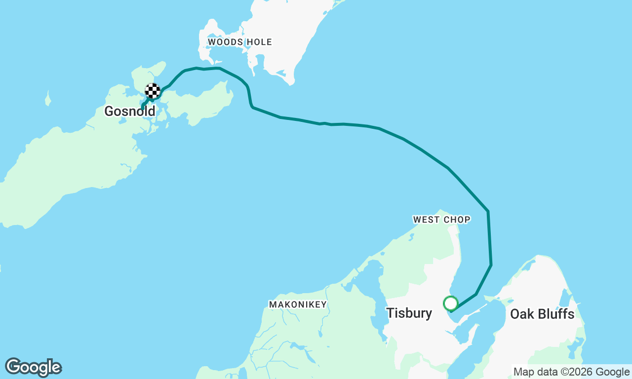 Vineyard Haven thru Woods Hole to Hadley Harbor.  Crowded moorings, anchor problems, circle circle circle!
