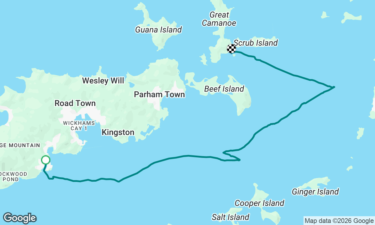 BVI-2026 Day 1