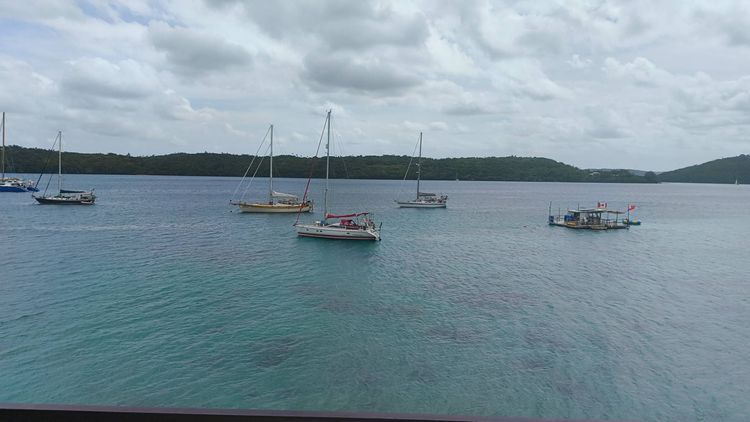Voyage photo from Rarotonga to Tonga
