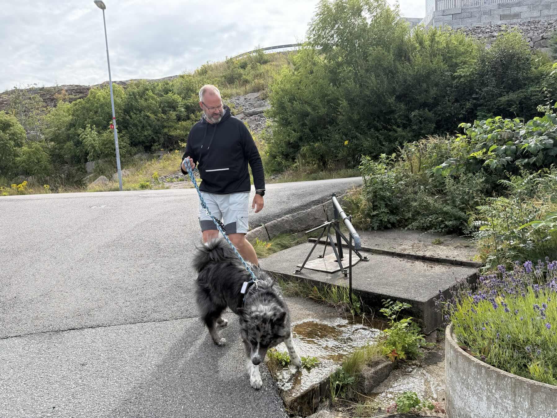 Oslo: Rückweg_B2D173BD-69DF-4CFA-8DFD-CFB2DACB1441