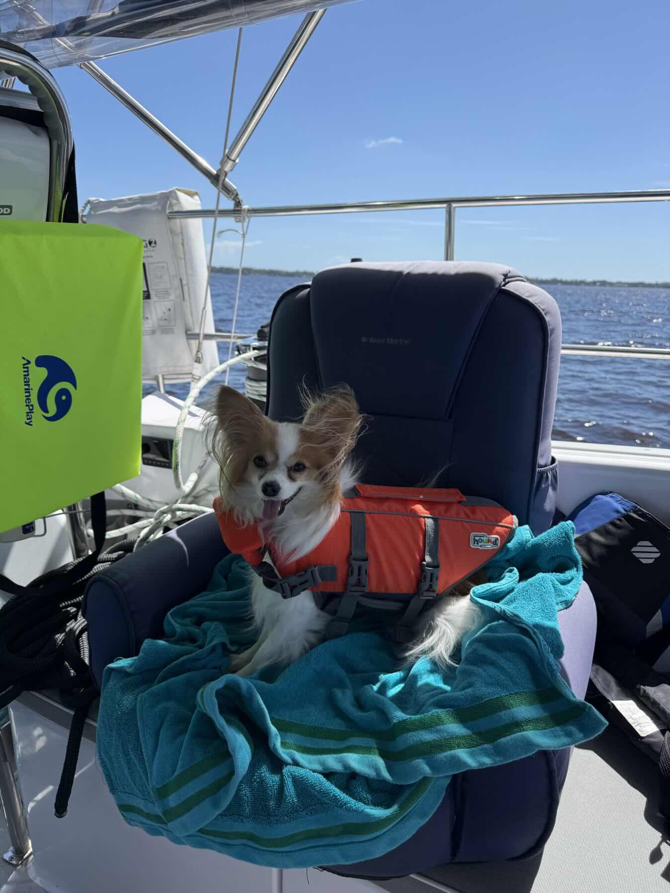 More sail practice and anchoring!_253BC9AA-6104-4A79-AEB8-CEEBE0D8DE63