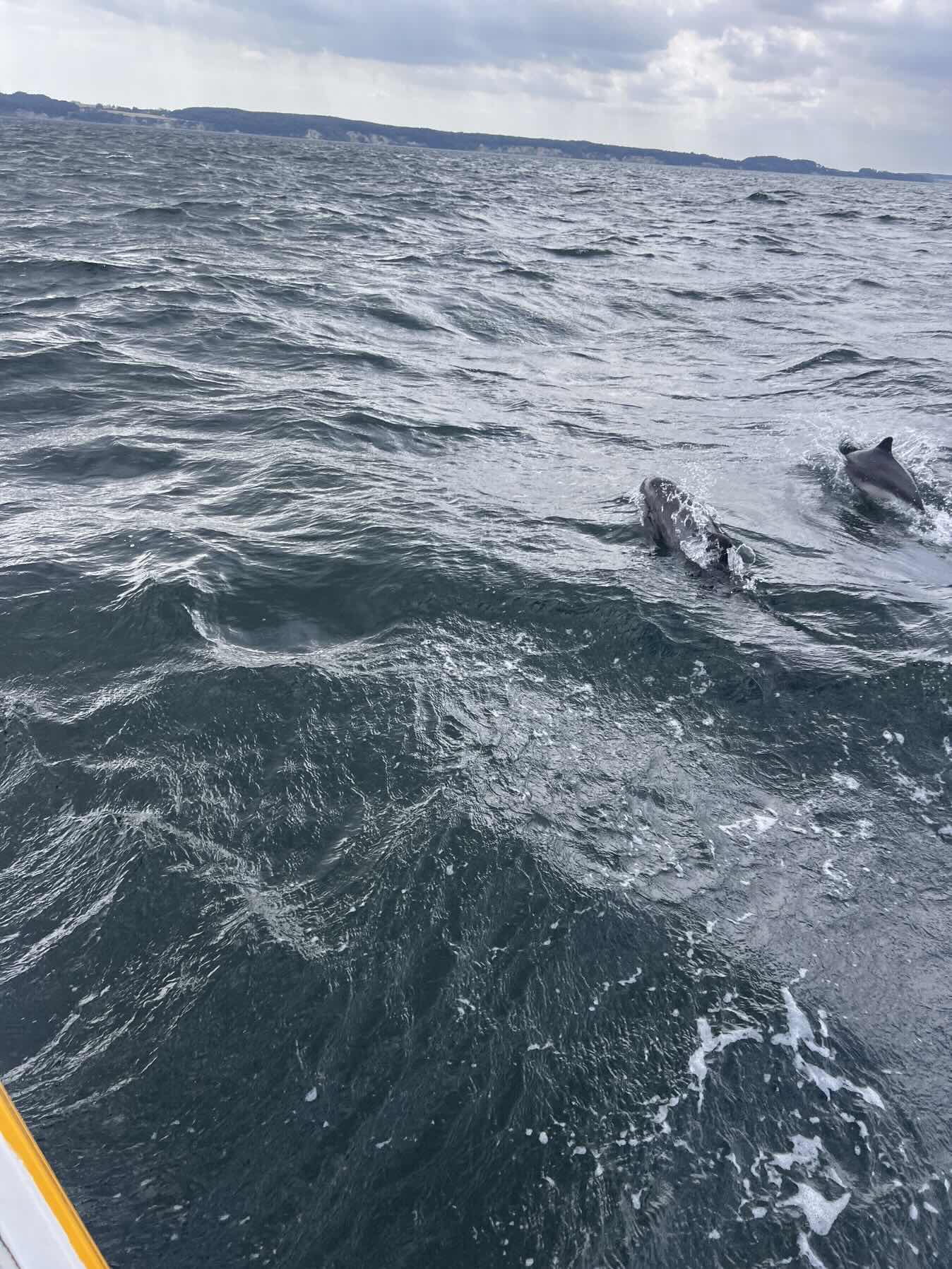 Skagerrak Exploring. Leg 19. Rødvig - Klintholm_0459FDAD-3437-492C-ADB0-27A2A9EAC303