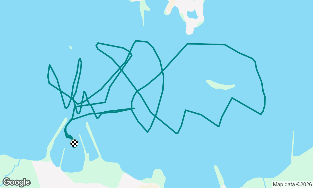 Kittiwake Accreditation