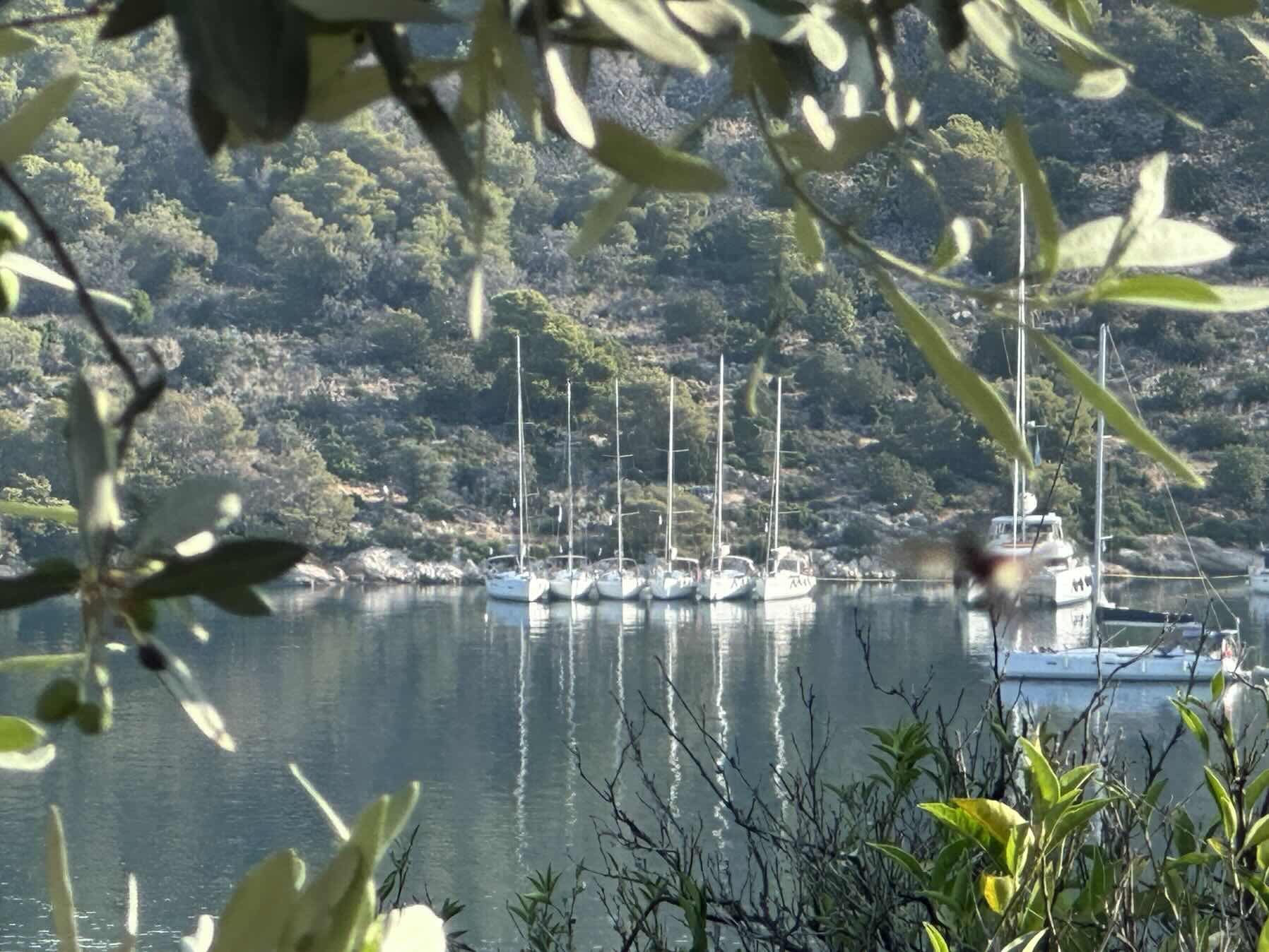 Poros 2025_FE0E5748-7F1E-42AB-A14A-F3B4789C25D1