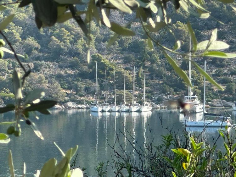 Voyage photo from Poros 2025