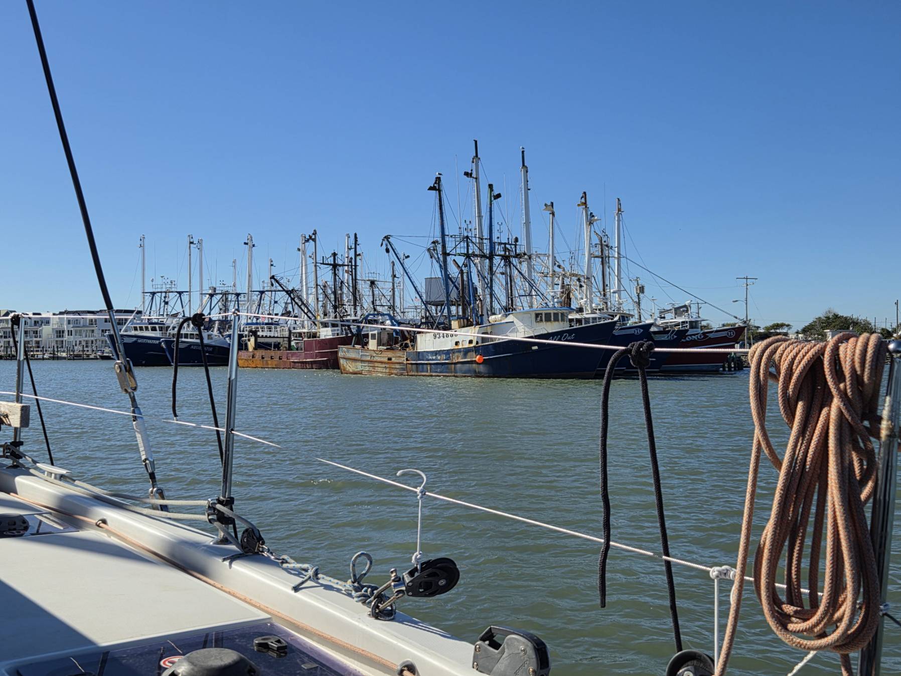 Kingston @ Annapolis - J7 et J8_9DA5E272-7B92-4FD2-92B9-BC9AF00E315D