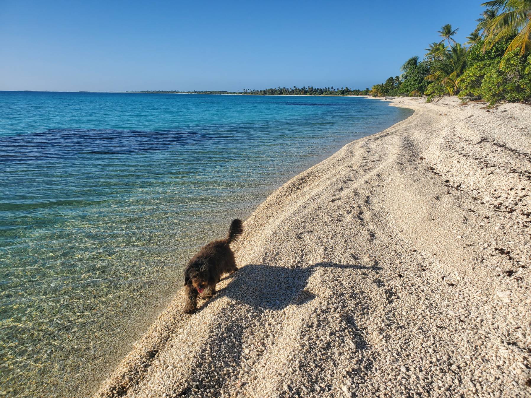 Blind Pass, Toau - Apataki Carenge anchorage _7845BA6E-2BF4-4166-B4B7-72F0E933673D