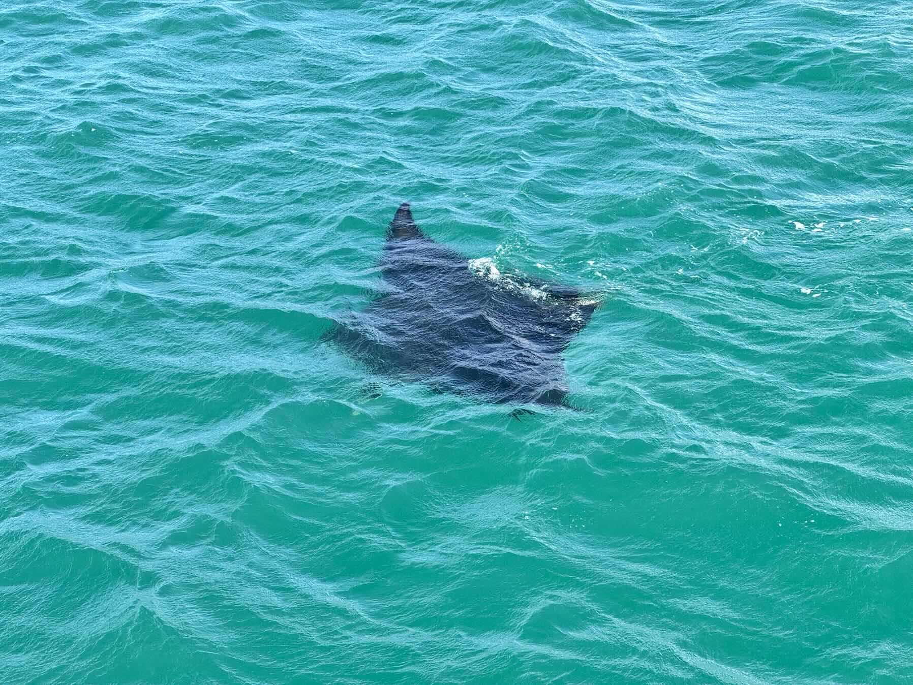 Darwin to Two Island Bay_89602582-932C-44F0-A283-F2ADD1C2F220