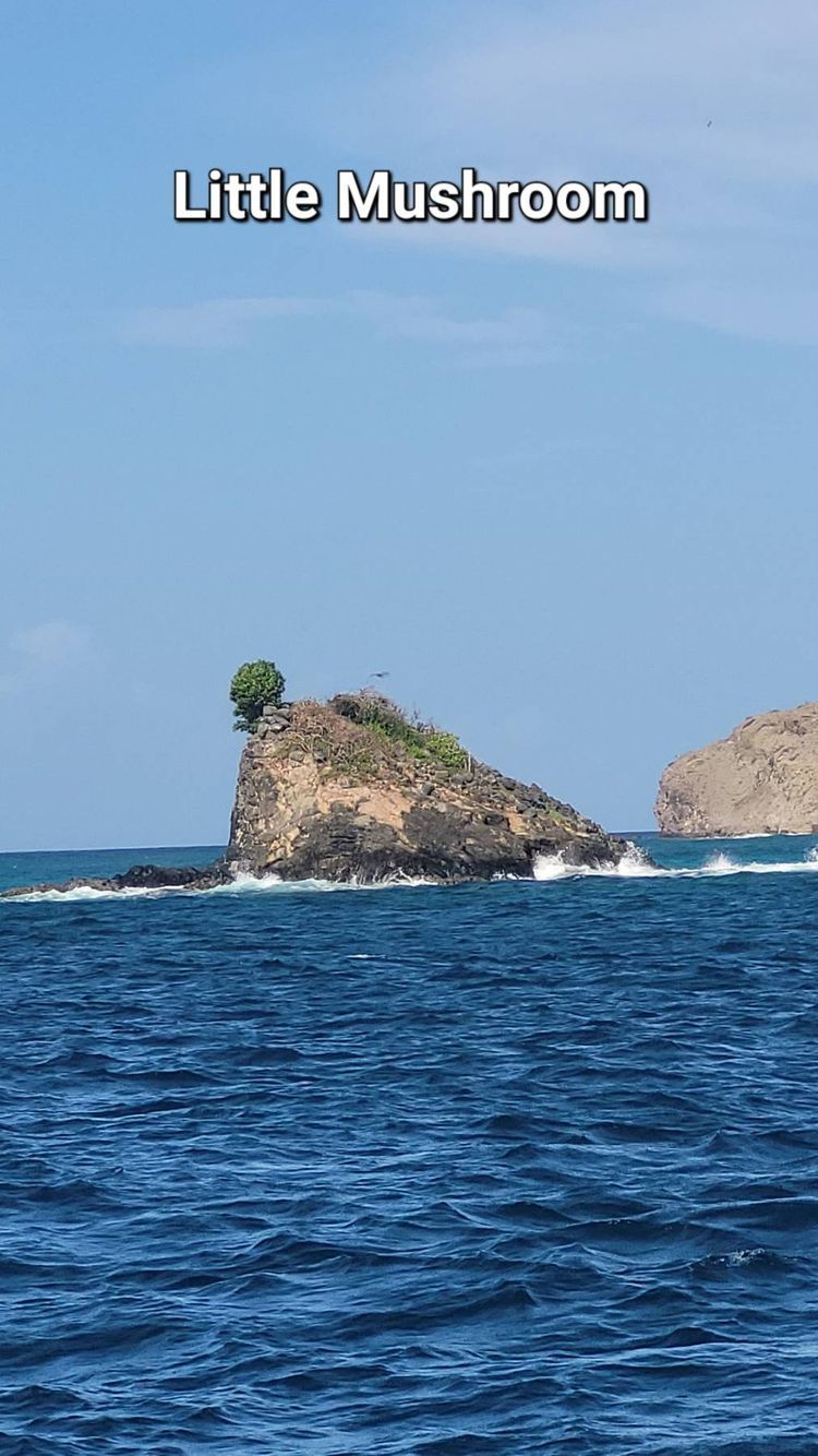 Voyage photo from Tyrrel Bay to Petite Martinique