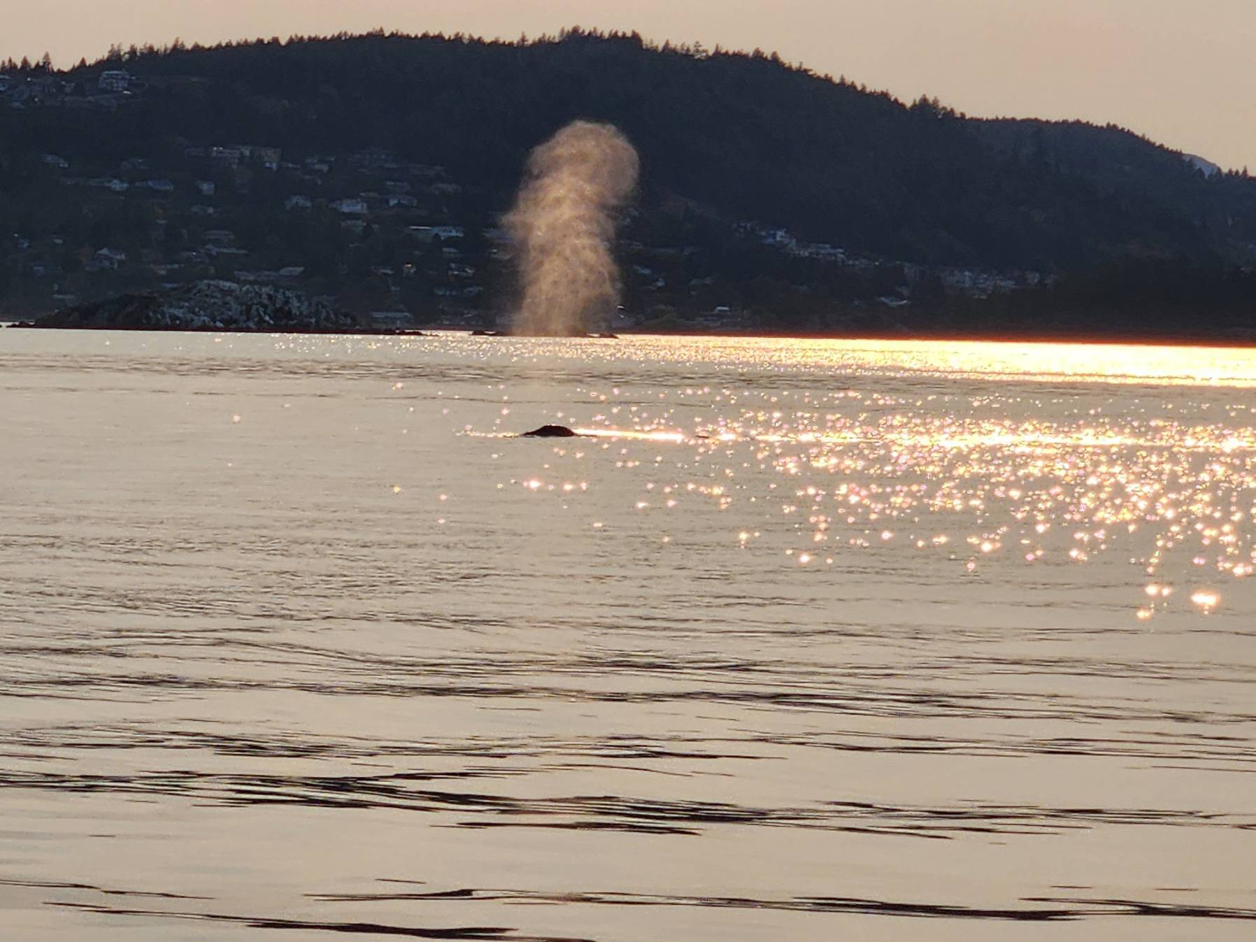 Thursday Evening Sail_4D221D5E-7808-4CC7-B56B-2BE5B382EAEB