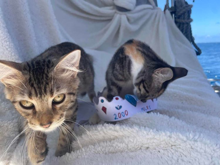 Voyage photo from Pacific crossing 2025 