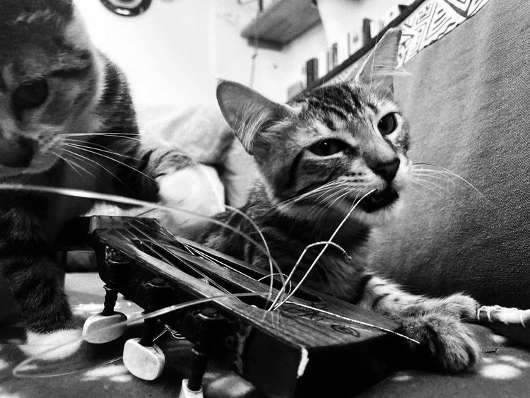 Voyage photo from Pacific crossing 2025 