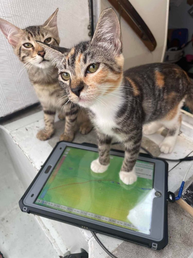 Voyage photo from Pacific crossing 2025 