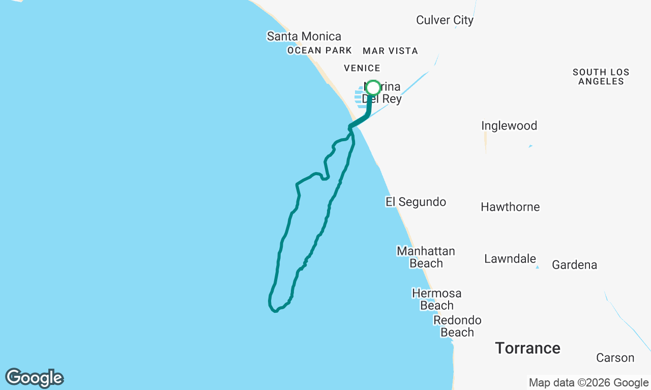 Whale watch
