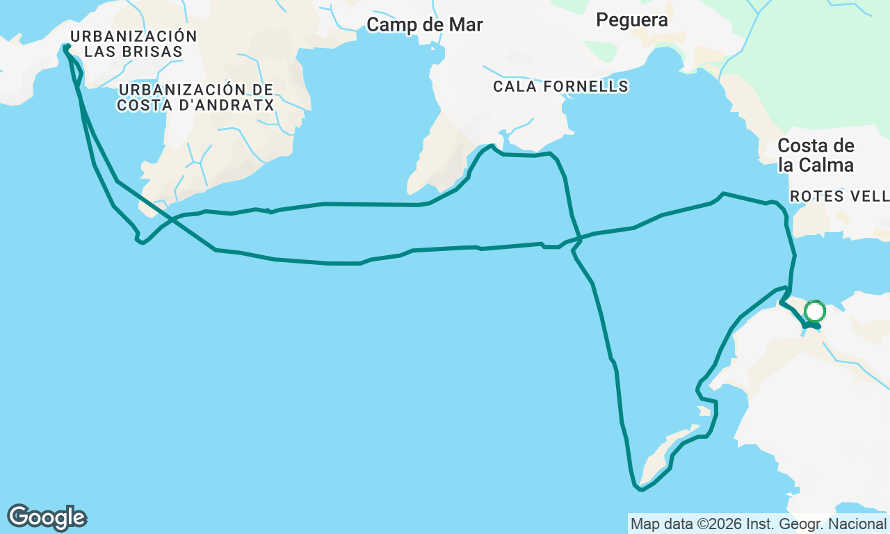 Palma