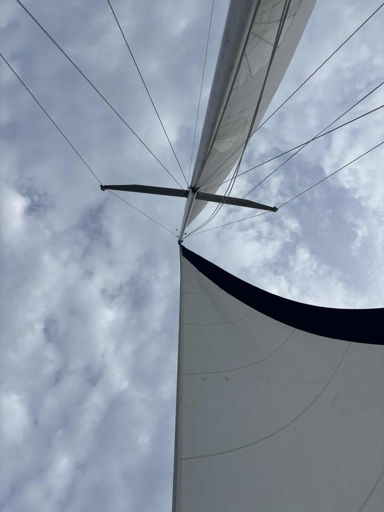 Social Sailing_76930F88-973C-4188-A3E8-E9FA92865C5F