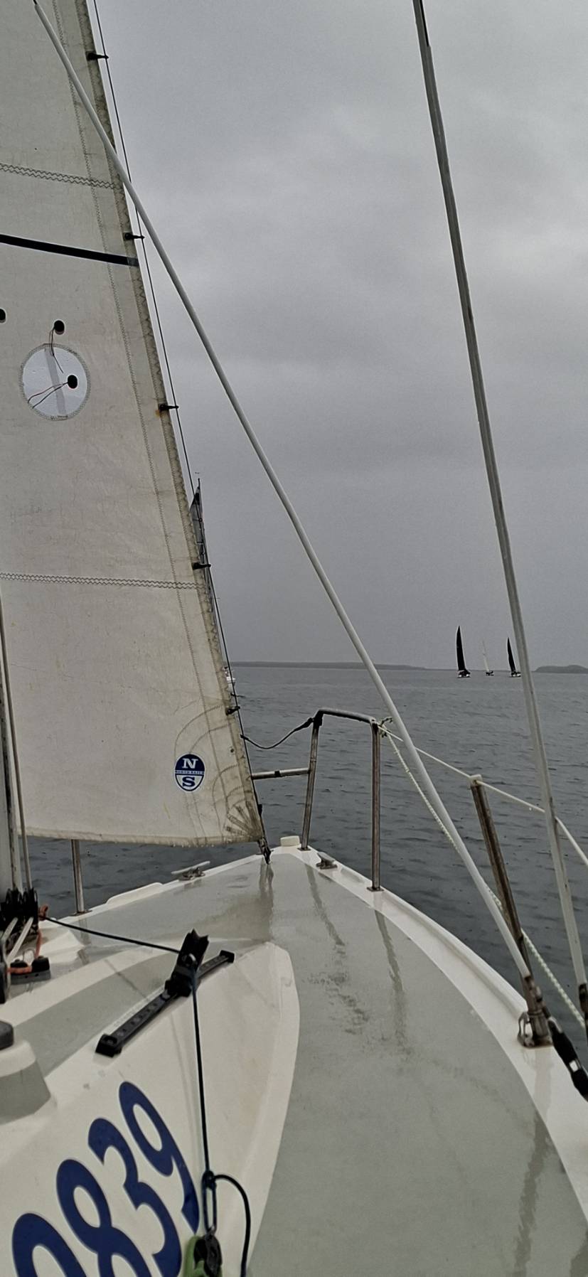 Reykjavík Regatta _B657A7D2-6E55-4C12-9746-A2EB964D134D