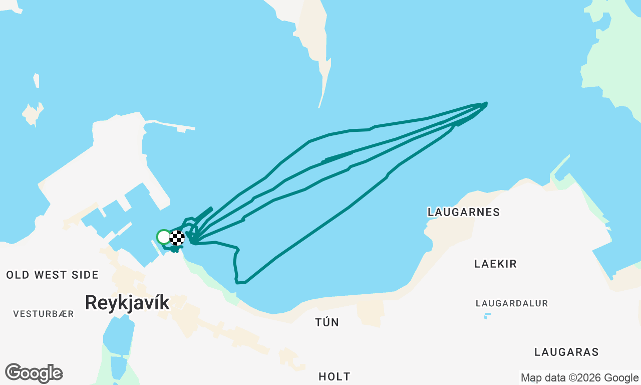 Reykjavík Regatta