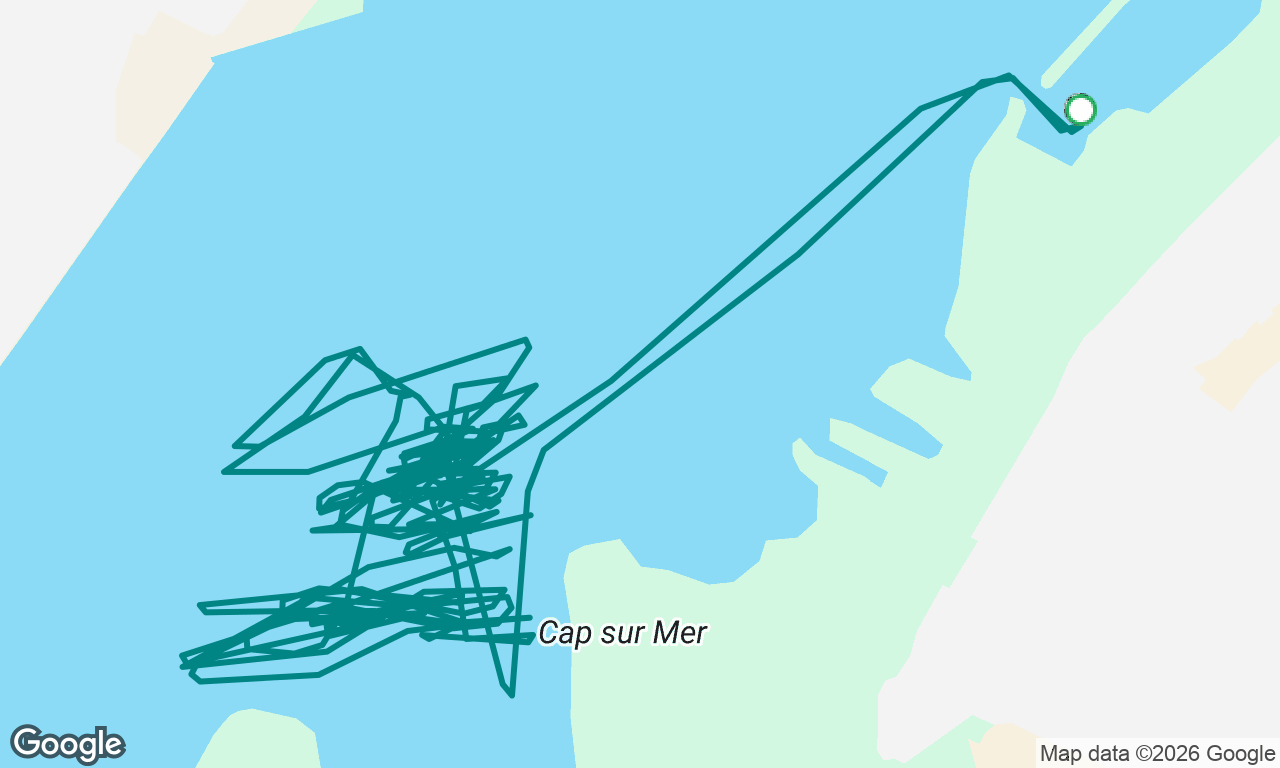 Sortie niveau 2