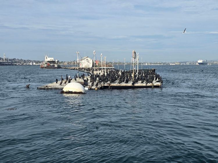 Voyage photo from emb with Bret on 664