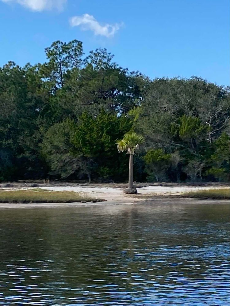 Voyage photo from Anchor malfunction in Tolomato River