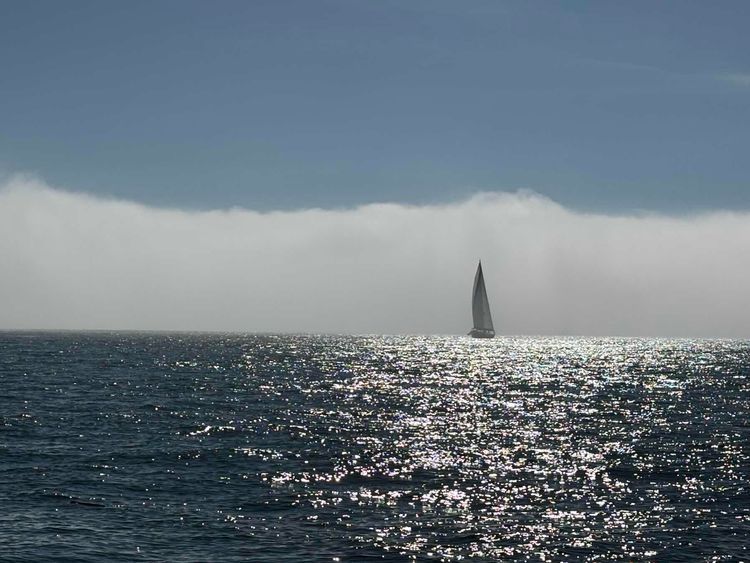 Voyage photo from Fleeing the Fog