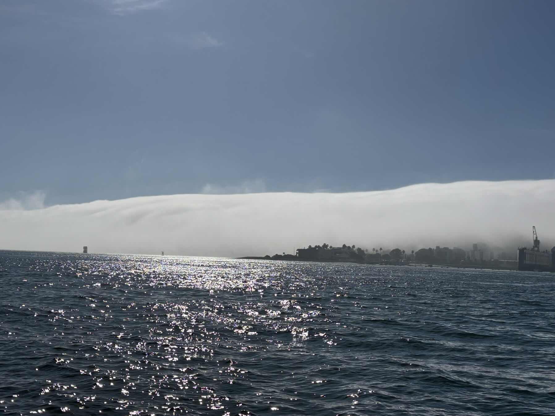 Fleeing the Fog_939975E1-FB01-44DE-BA82-1DD48D16879A