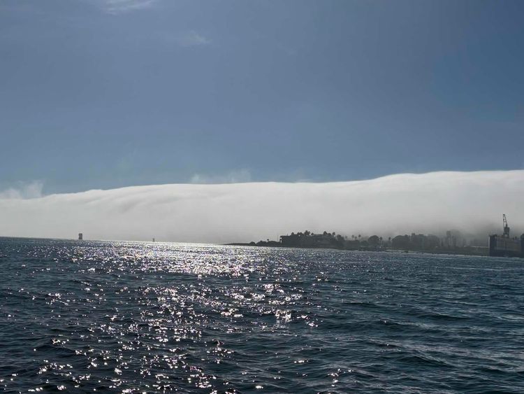 Voyage photo from Fleeing the Fog