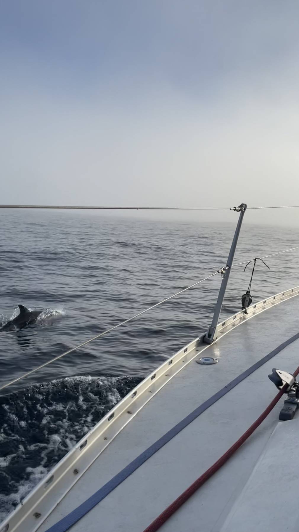 Atlantic Islands 1: Porto to Porto Santo_B042E228-2ED8-49D1-AEF1-22FF24EAB51B