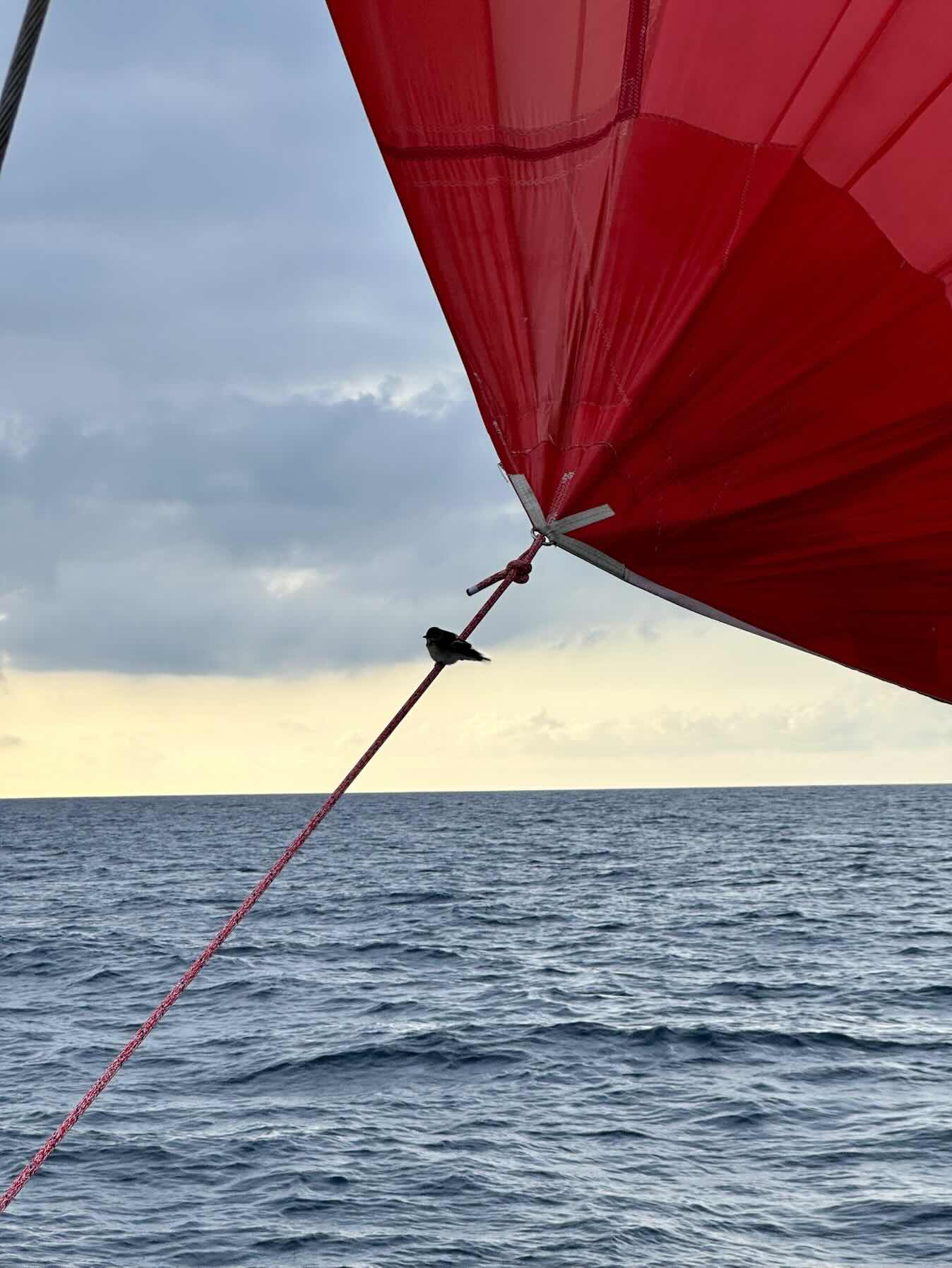 Wales, Ireland, Isle of Scilly and Cornwall 2025_12B04AFF-7051-4623-AAFD-964503596B73