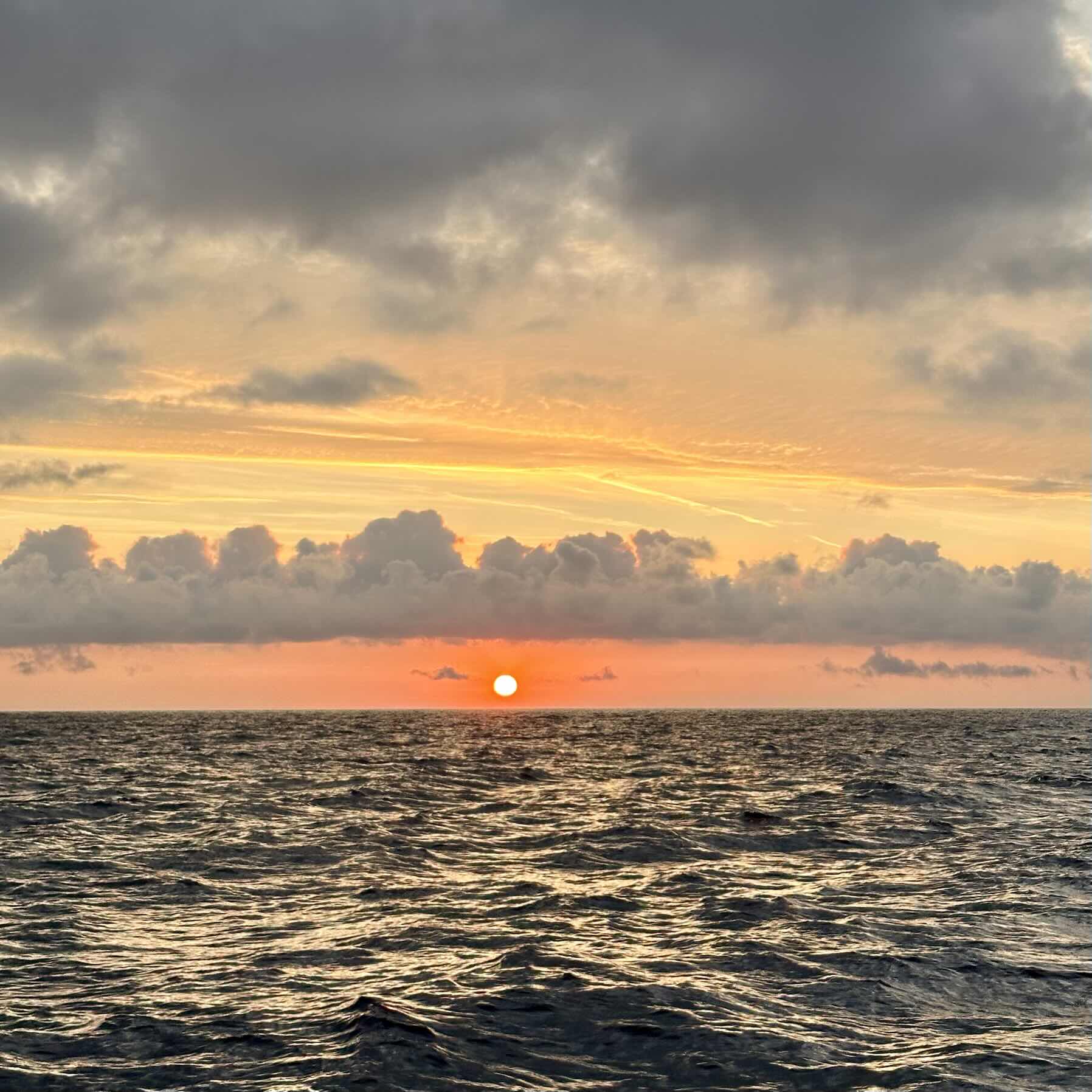 Wales, Ireland, Isle of Scilly and Cornwall 2025_6BD5D13D-061E-4CDE-ADB5-45B4AD17BFDC