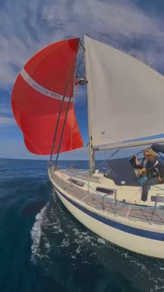 Wales, Ireland, Isle of Scilly and Cornwall 2025_5F360F50-01B2-432F-A22A-93F9A53D04DD